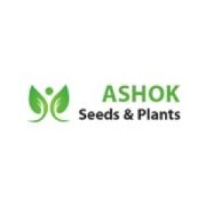 ASHOK Seeds & Plants