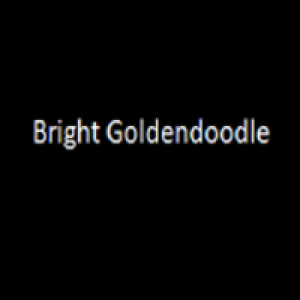 brightgoldendoodle