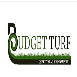 Budget Turf
