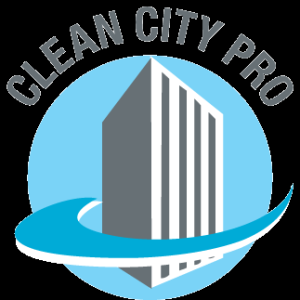 Clean City Pro
