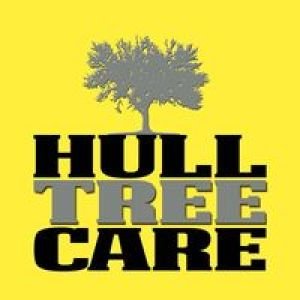 Hull Tree Care LLC