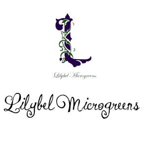 Lilybel Microgreens