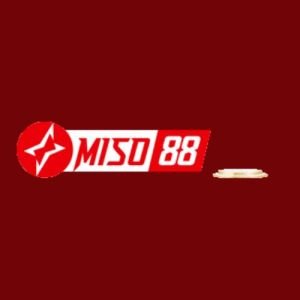 miso88bid1