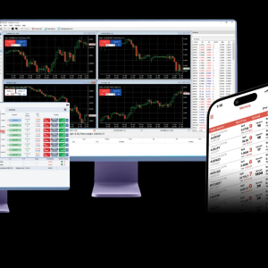 Best Trading Platform Provider 2024 ntrader