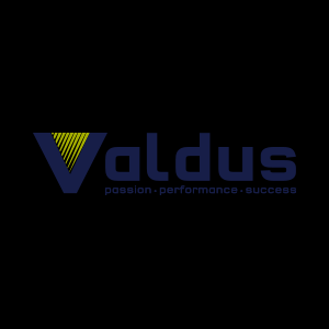 One Valdus Co Ltd